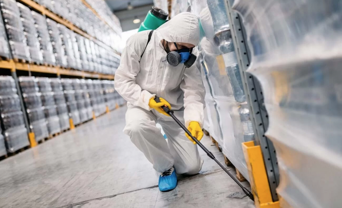 Сезонные предложения