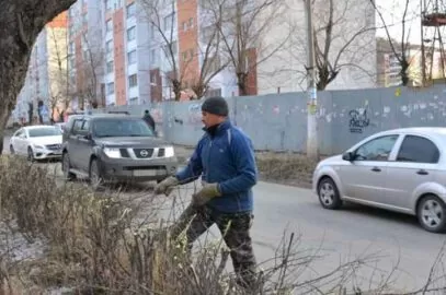 Как в Минске готовят деревья к весне: сезонная обрезка для безопасности и красоты