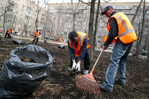 Уборка дворовой и прилегающей территории